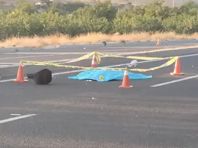 Otomobilin çarptığı kadın hayatını kaybetti

