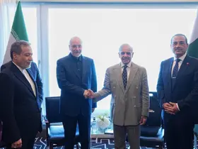 Pakistan Başbakanı Şerif, İran heyetiyle bir araya geldi
