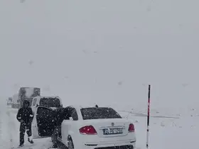 Palandöken geçidinde kar ve tipi etkili oldu

