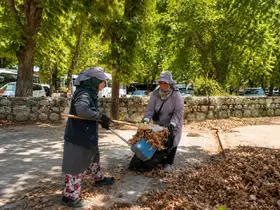 Park Bahçeler Müdürlüğü’nden Karacabey genelinde yoğun mesai

