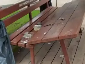 Parka zarar veren vandallara, vatandaş böyle tepki gösterdi
