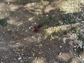 Parkta bir kişiyi döner bıçağıyla yaralayan saldırgan yakalandı
