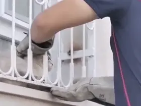 Patisi pencere demirine sıkışan kediyi itfaiye kurtardı

