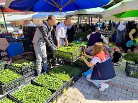 Pazarlarda satılan tohum ve fideler kontrol edildi
