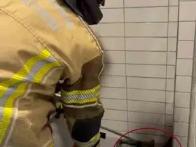 Petrol istasyonuna giren 2,5 metre uzunluğunda yılan yakalandı
