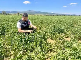 Planlı tarımsal üretim için saha çalışmaları sürüyor
