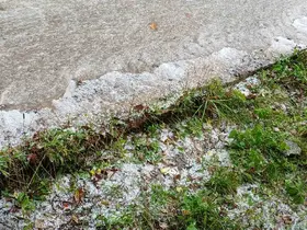 Posof’ta aniden bastıran dolu hayatı felç etti: Sokaklar nehire döndü
