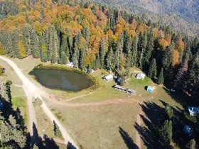 Pürenli Yaylası’nda sonbahar güzelliği
