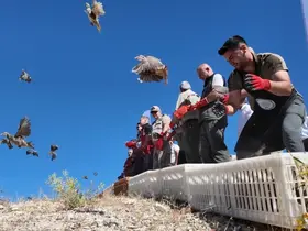 Ravanda Kalesi’nde doğa yeniden kanatlandı
