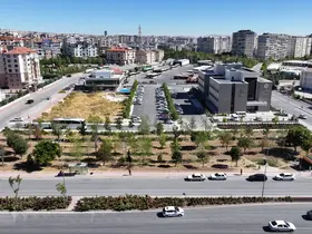 Raylı sistem çalışmaları nedeniyle sökülen ağaçlar yeniden toprakla buluşuyor