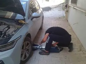 Reyhanlı ve Defne’de mahsur kalan kediler kurtarıldı
