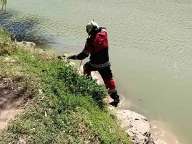 Reyhanlı’da göl kenarında görülen yılan yakalandı
