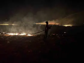 Reyhanlı’da mısır anızı yangını büyümeden söndürüldü
