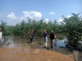 Sağanağın vurduğu Çarşamba’da hasar tespit çalışmaları sürüyor
