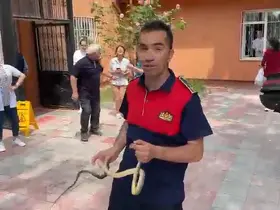 Sağlık ocağında yılan paniği
