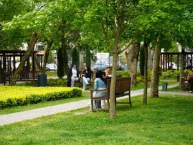 Sakarya’da güneşli havayı fırsat bilen vatandaşlar park ve caddelere akın etti
