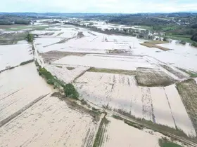 Sakarya’da su altında kalan tarım arazileri havadan görüntülendi
