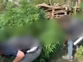 Sakarya’da uyuşturucu operasyonu: 2 gözaltı
