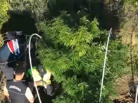 Sakarya’da uyuşturucu ve kaçak alkol operasyonu: 2 tutuklama
