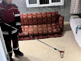 Samandağ’da yerleşim yerinde görülen yılan yakalanarak doğaya bırakıldı
