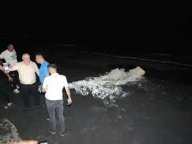 Samsun sahilinde şüpheli madde paniği: Ekipler alarma geçti
