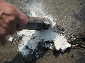 Samsun sahiline vuran şüpheli maddeyi TÜBİTAK inceleyecek
