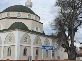 Samsun’da asırlık çitlembik ağacı için ’koruma’ çağrısı
