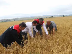Samsun’da dolu afetinde 40 bin dekar tarım arazisi olumsuz etkilendi

