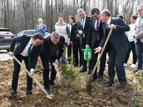 Samsun’da ormanlar ağaçlandırılıyor
