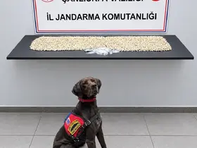 Şanlıurfa’da 14 bin 410 Captagon ele geçirildi
