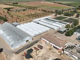 Şanlıurfa’da 500 bin mevsimlik çiçek üretilecek
