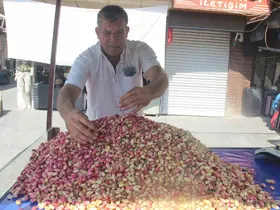 Şanlıurfa’da yeni mahsul fıstık tezgahlardaki yerini aldı
