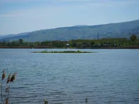Sapanca Gölü çekildi: Gizemli ada yeniden ortaya çıktı
