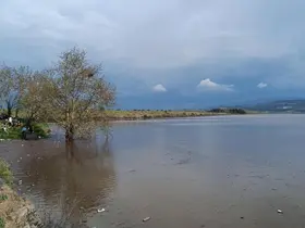 Sarıgöl Ovası’nda su sevinci
