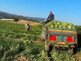 Sarıgöllü üreticiden "Kendi üret, kendi sat" hamlesi
