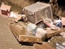 Sarıkamış’ta çöp konteynerlerinin arkasından ayı çıkıyor
