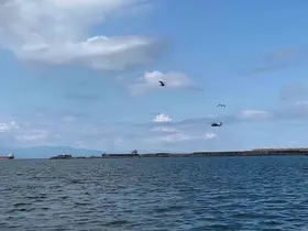 Savaş helikopterlerinin eğitim uçuşu Ereğli’de heyecan yaşattı
