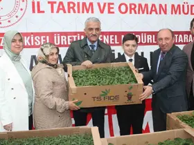 Sebze üretimi yapan çiftçilere fide dağıtıldı
