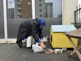 Şehir merkezine inen tilki kimseye aldırış etmeden karnını doyurdu
