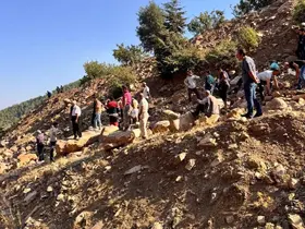 Sepetli motosiklet uçurumdan uçtu: 3 yaralı

