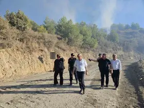 Serik’teki yangının ardından hasar tespit çalışmaları başladı
