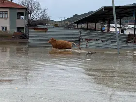 Şiddetli yağışlar Kula’da taşkınlara yol açtı
