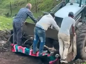 Siirt’te kaybolan büyükbaş hayvan çamura saplanmış halde bulundu
