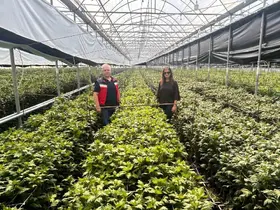 Simav’da kesme çiçek üreticilerine İBS ziyareti
