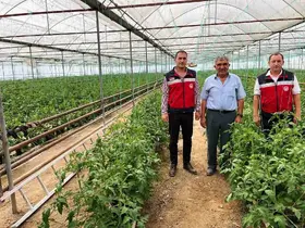 Simav’da seracılık faaliyetleri yerinde incelendi

