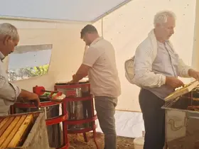 Sincik’te bal hasadı başladı
