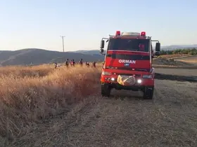 Sinop’ta anız yangını korkuttu
