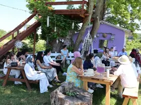 Sinop’ta lavanta bahçesinde bilimsel söyleşi
