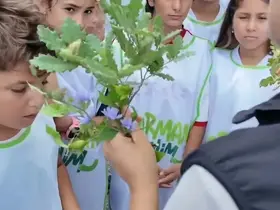 Sinop’ta minik sporculara orman sevgisi aşılandı
