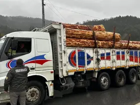 Sinop’ta orman ürünlerine 183 noktada denetim

